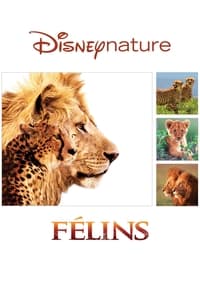 Félins (2011)