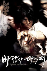 Poster de Guerrero del viento