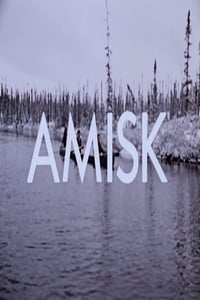 Amisk (1977)