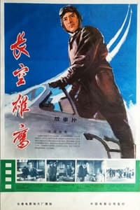 长空雄鹰 (1976)