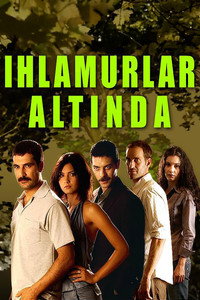 Постер сериала «Под сенью лип (2005-2007)» — (1 из 2)