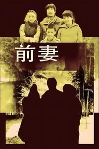 前妻 (2009)