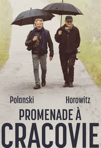 Promenade à Cracovie (2021)