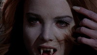 Обои к фильму «Тень оборотня (1971)» — (14 из 19)