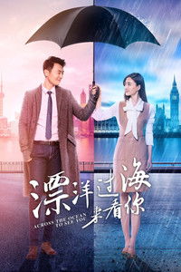 Poster de 漂洋过海来看你