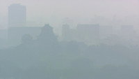 PM2.5