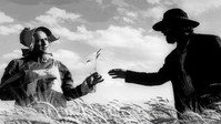 Обои к фильму «Излучины Миссури (1976)» — (13 из 27)