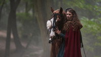 «Пробуждающая совесть 2: Дар змеи (2019)» — обои к фильму #2