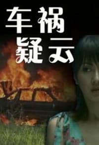 车祸疑云 (2009)