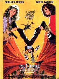 Poster de Une chance pas croyable