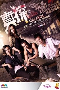 Watch The Truth Seekers - Season 1 123Movies