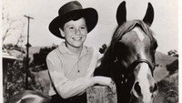 «My Friend Flicka (1955-1960)» — обои к сериалу #1