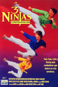 Poster de 3 Ninjas al rescate