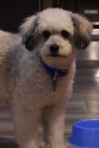 Imagem do Filme Serafín