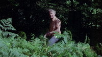 «The Insomniac (1971)» — обои к фильму #1