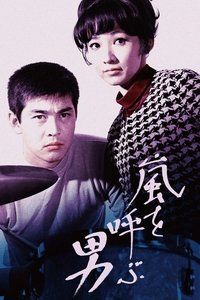 嵐を呼ぶ男 (1966)