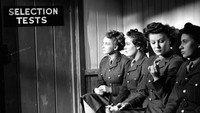 «Слабый пол (1943)» — обои к фильму #1