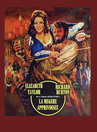 Постер фильма «Укрощение строптивой (1967)» — (11 из 27)