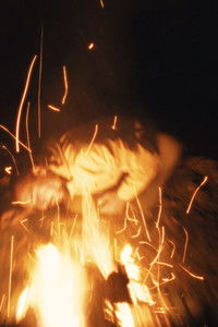 Imagem do Filme Mycélium