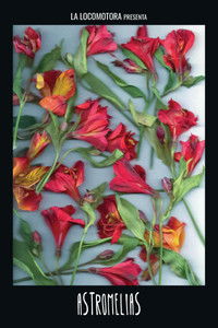 Imagem do Filme Astromelias