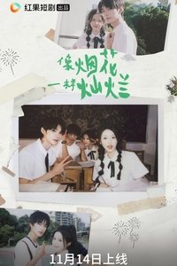 像烟花一样灿烂