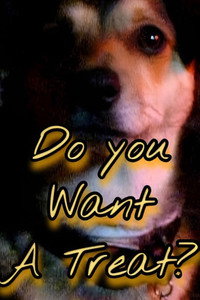 Do You Want A Treat? (2022) poster