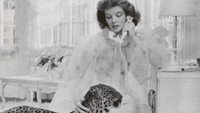 Обои к фильму «Воспитание Крошки (1938)» — (27 из 85)