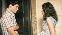 «Да здравствуют зрелые женщины (1978)» — обои к фильму #2