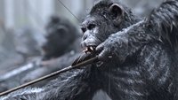 War for the Planet of the Apes