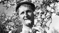 «Избранник мадам Юссон (1950)» — обои к фильму #1
