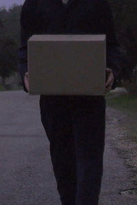Delivery (2024) subtitle poster