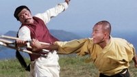 The 36th Chamber of Shaolin