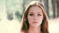 «Насилие в песках (1971)» — обои к фильму #1
