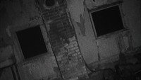 «Тень Ведьмы из Блэр (2000)» — обои к фильму #1