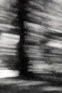 Moored Shadow (2026) poster