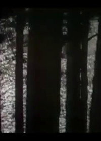 Постер фильма «Лесной шепот (1947)» — (2 из 2)