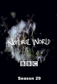 Watch Natural World - Season 29 123Movies
