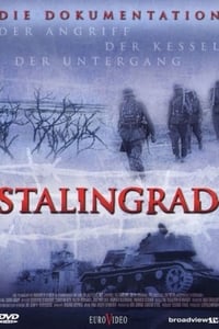 copertina serie tv Stalingrad 2003