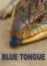 Постер фильма «Blue Tongue (2005)» — (2 из 2)