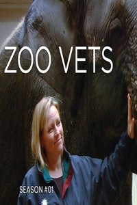 Watch Zoo Vets - Season 1 123Movies
