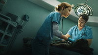 «Пульс (2025)» — обои к сериалу #4