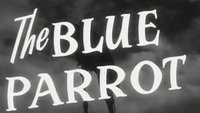 The Blue Parrot