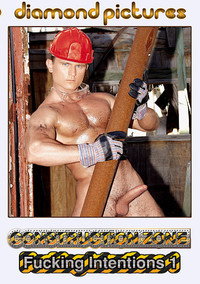 Construction Zone: Fucking Intentions 1 (2012) poster
