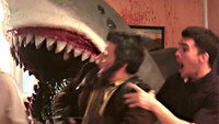 House Shark