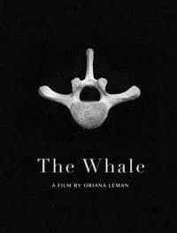 Poster de The Whale