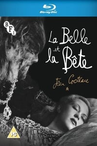 Des réves de Cocteau en numérique, l'aventure de la Belle et la Bête (2013)