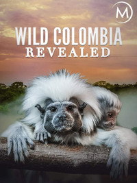 Постер фильма «Colombia magia salvaje (2015)» — (1 из 2)
