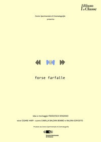 Forse farfalle