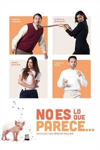 Poster de No es lo que parece