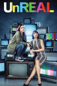 Постер сериала «Нереальный холостяк (2015-2018)» — (24 из 51)